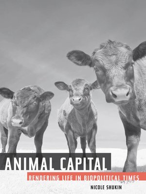 cover image of Animal Capital